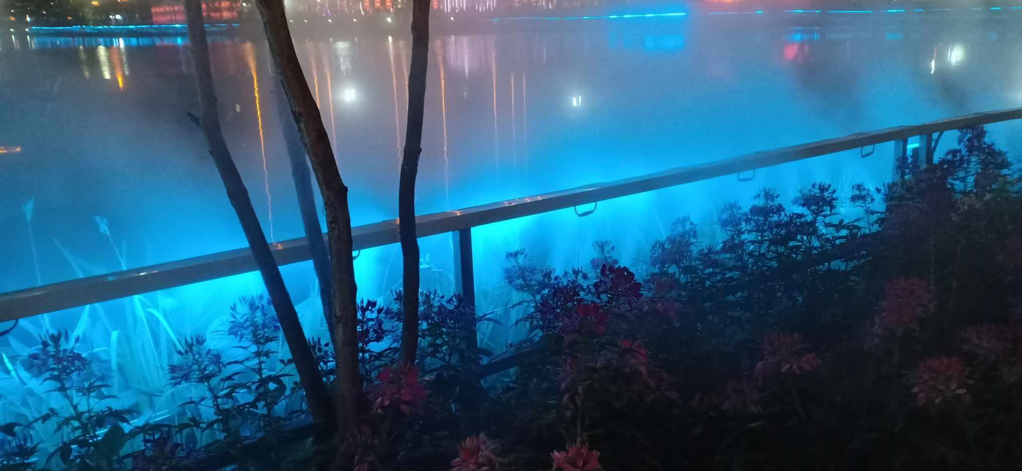口袋森林世界杯传球大赛